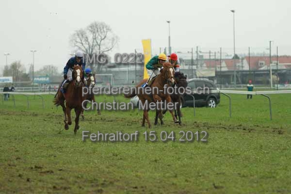 IMG 0222 prot