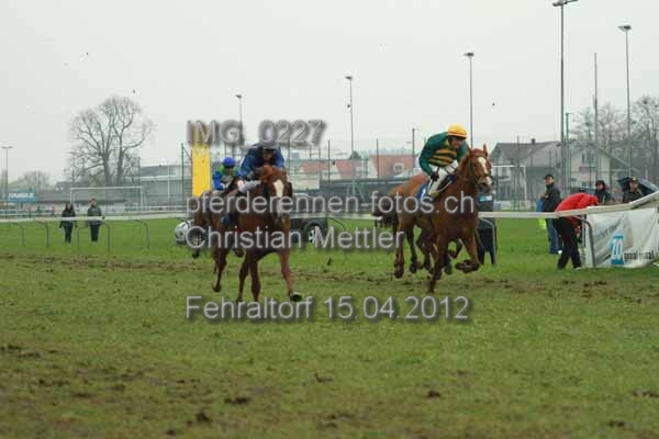 IMG 0227 prot