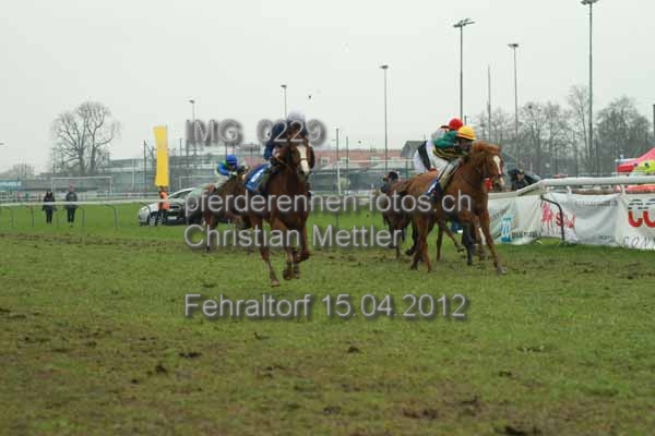 IMG 0229 prot