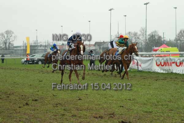 IMG 0230 prot