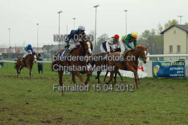 IMG 0233 prot