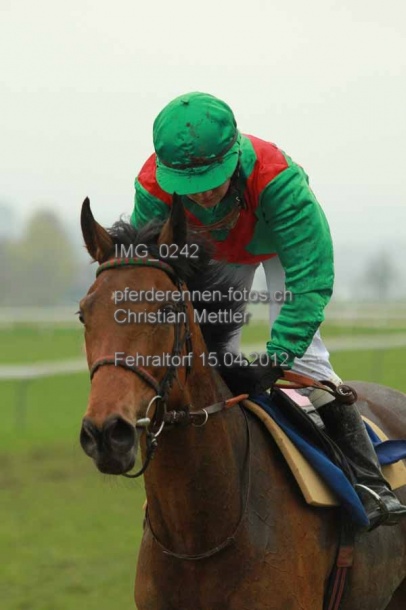 IMG 0242 prot