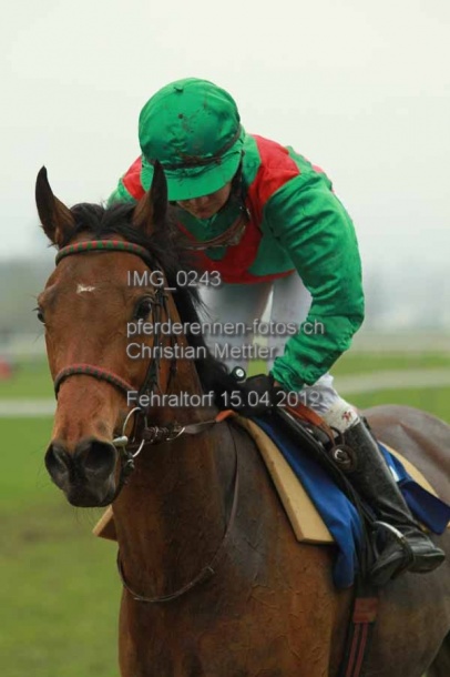 IMG 0243 prot