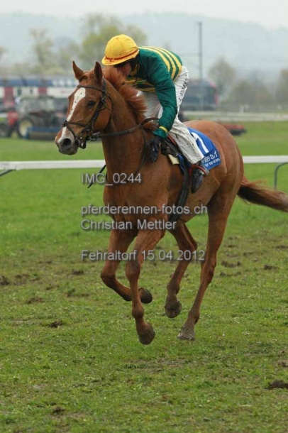IMG 0244 prot