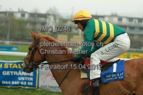 IMG 0246 prot