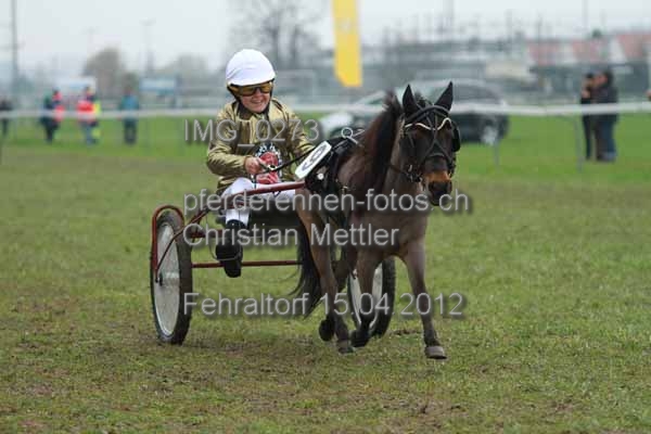 IMG 0273 prot