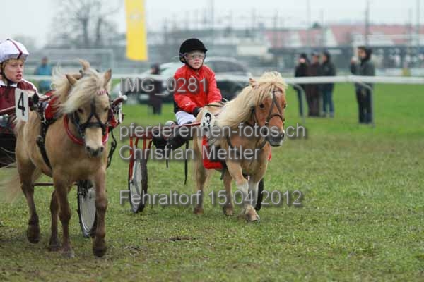 IMG 0281 prot