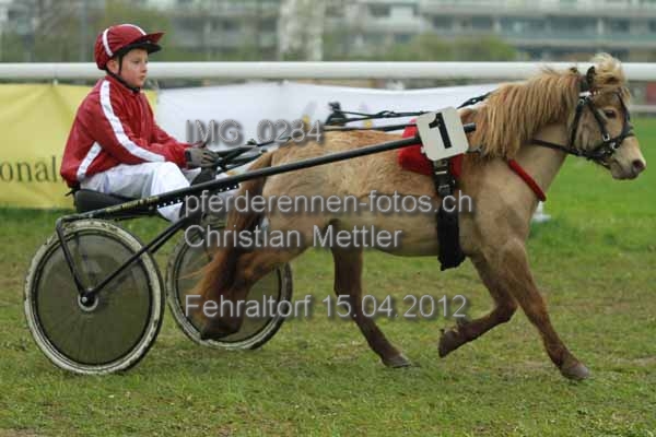 IMG 0284 prot