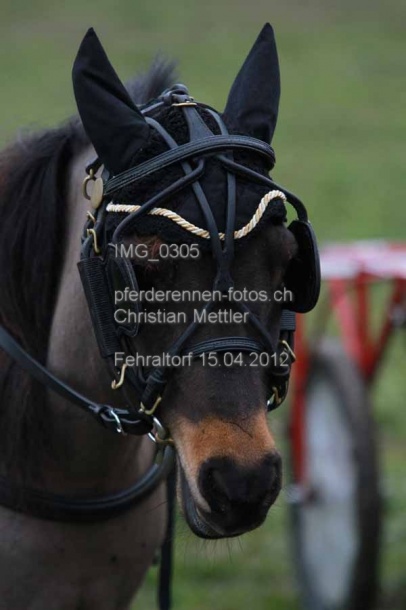 IMG 0305 prot