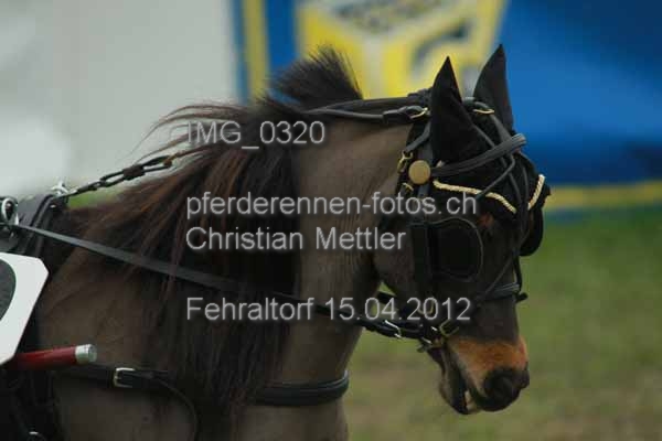IMG 0320 prot