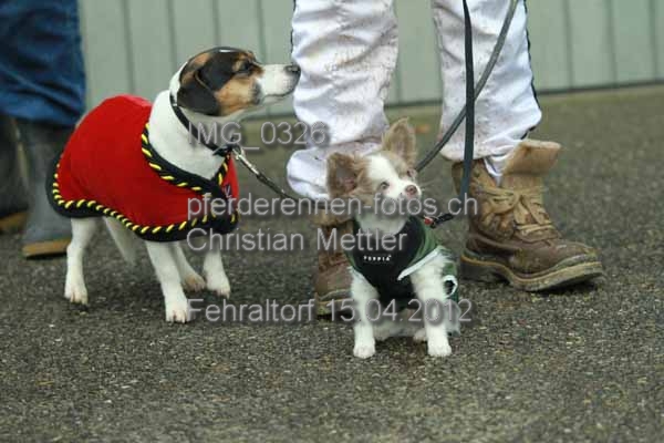 IMG 0326 prot
