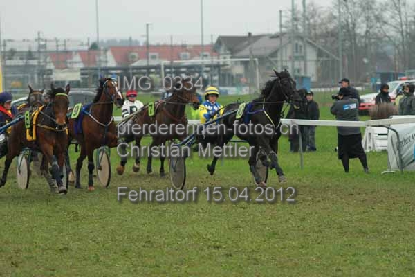 IMG 0334 prot