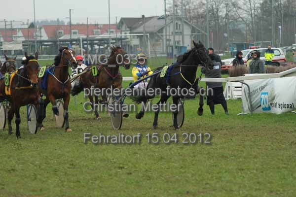 IMG 0335 prot