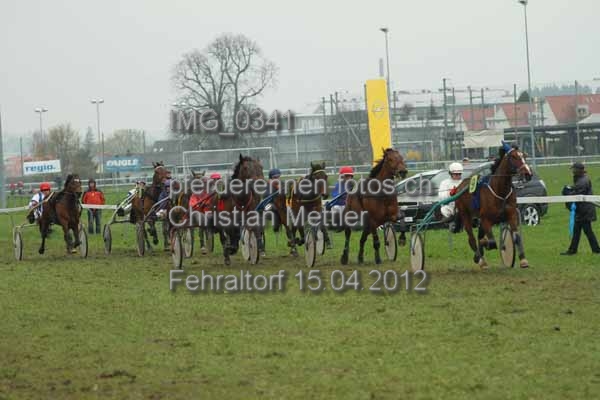 IMG 0341 prot