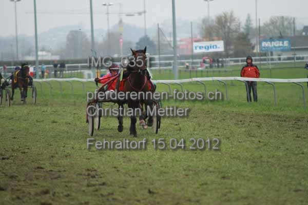 IMG 0351 prot