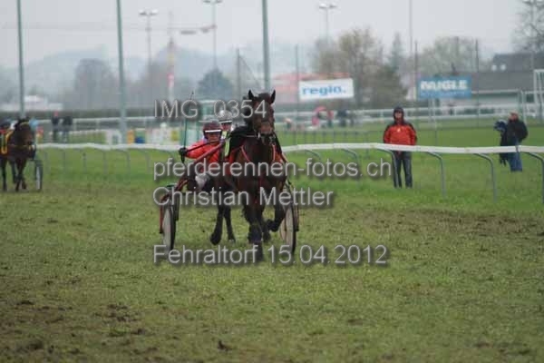 IMG 0354 prot