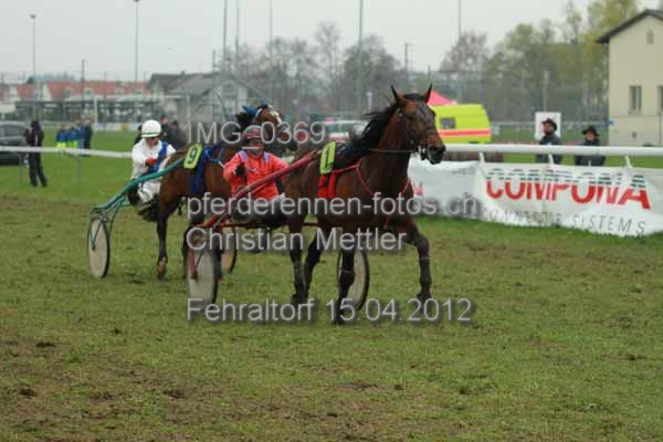 IMG 0369 prot