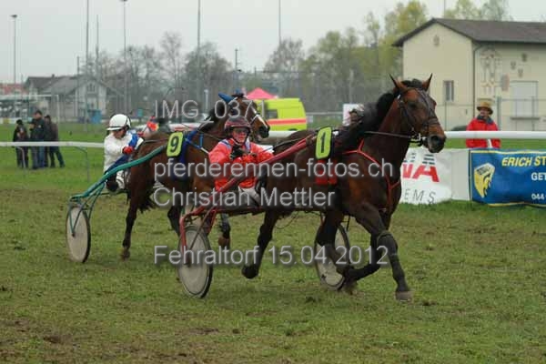 IMG 0371 prot