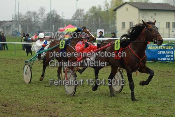 IMG 0372 prot