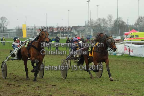 IMG 0380 prot
