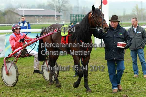 IMG 0386d prot