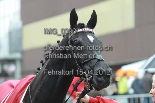 IMG 0390 prot