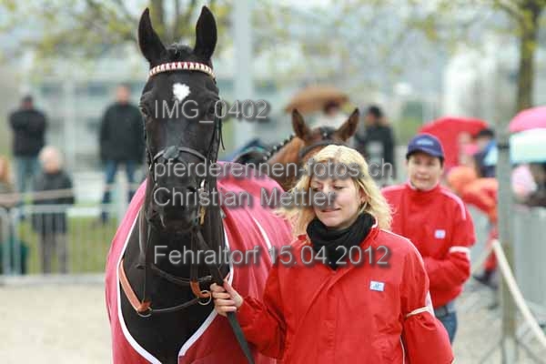 IMG 0402 prot