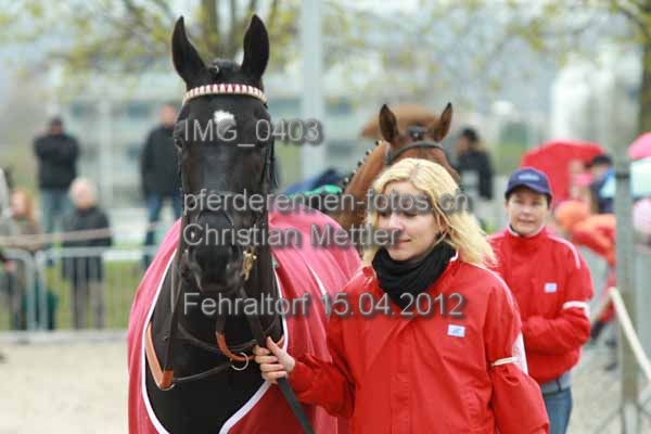 IMG 0403 prot
