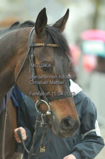 IMG 0406 prot
