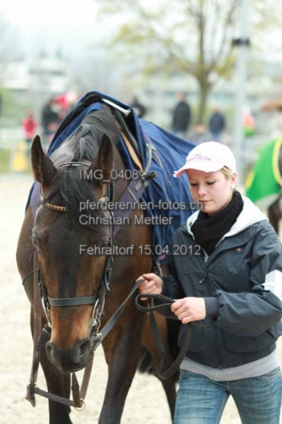 IMG 0408 prot