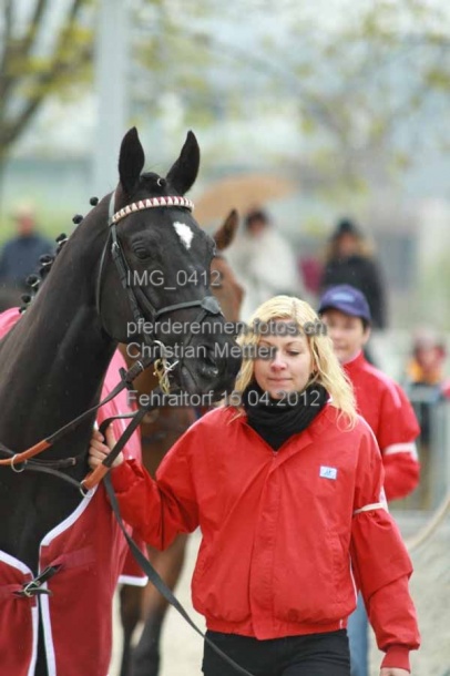 IMG 0412 prot