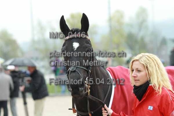 IMG 0416 prot