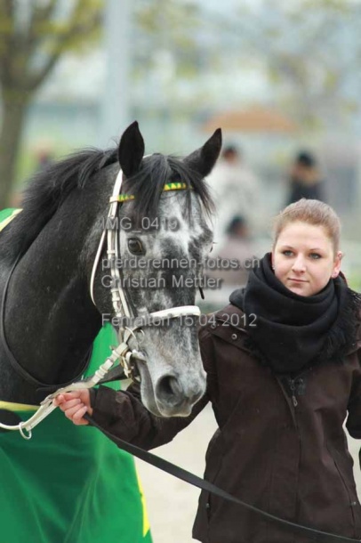 IMG 0419 prot