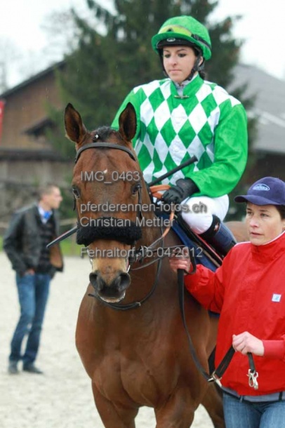 IMG 0463 prot