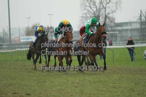 IMG 0480 prot