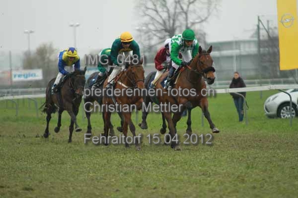 IMG 0481 prot