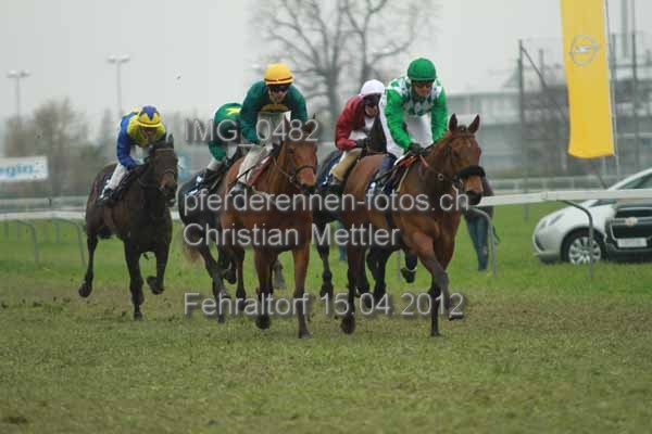 IMG 0482 prot