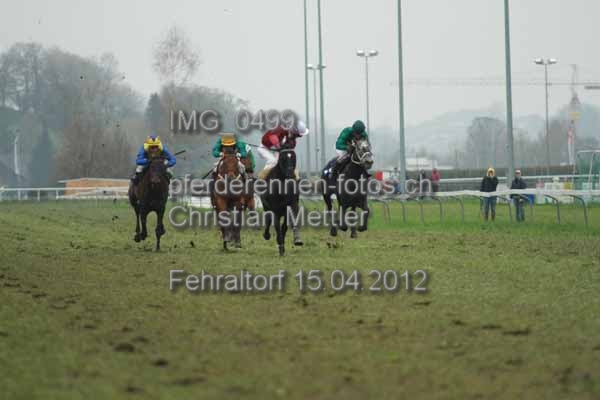 IMG 0499 prot