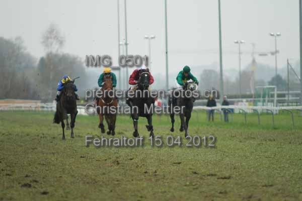 IMG 0501 prot