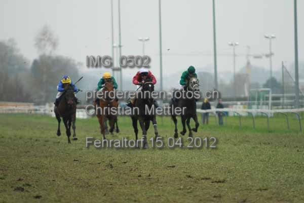 IMG 0502 prot