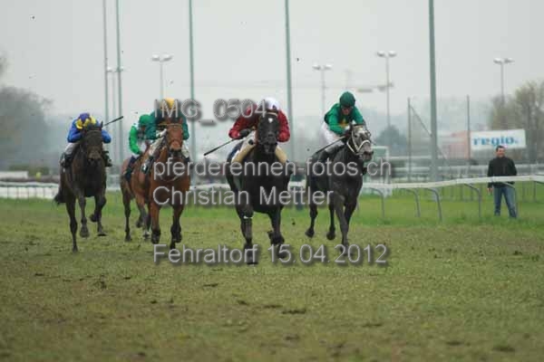 IMG 0504 prot