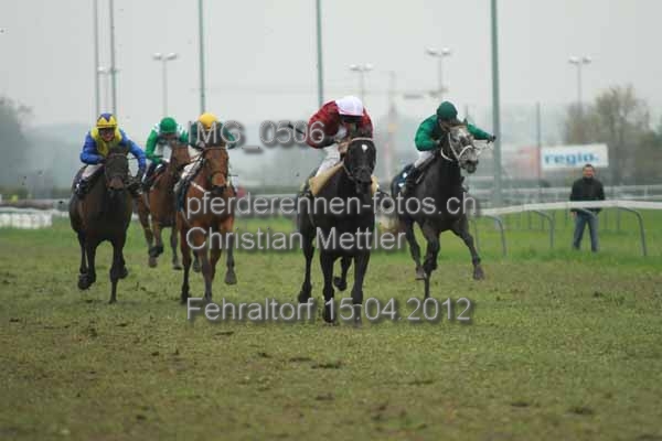 IMG 0506 prot
