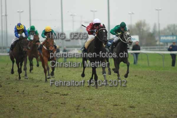 IMG 0509 prot