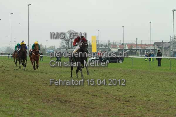 IMG 0511 prot