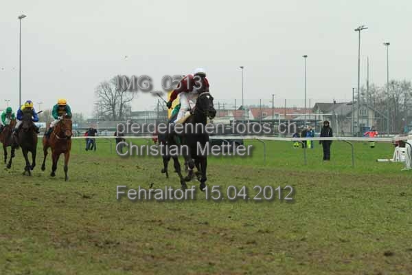 IMG 0513 prot