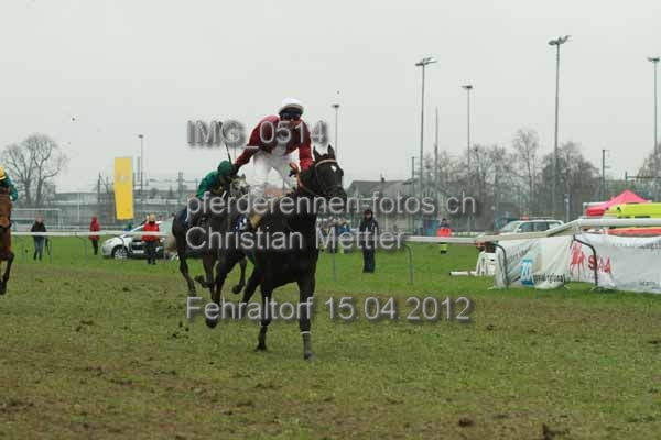 IMG 0514 prot