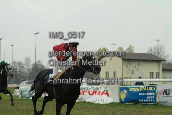 IMG 0517 prot