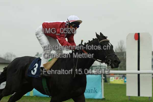 IMG 0520 prot