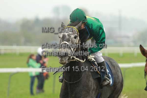 IMG 0524 prot