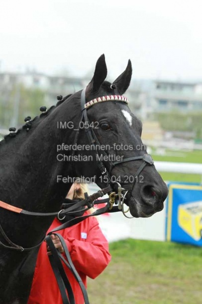 IMG 0542 prot